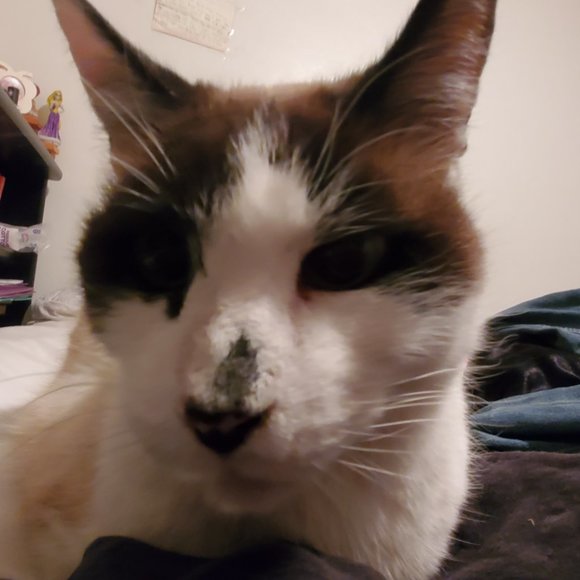 When u miss someone or something ♥️♥️ - Picture 5 of 9